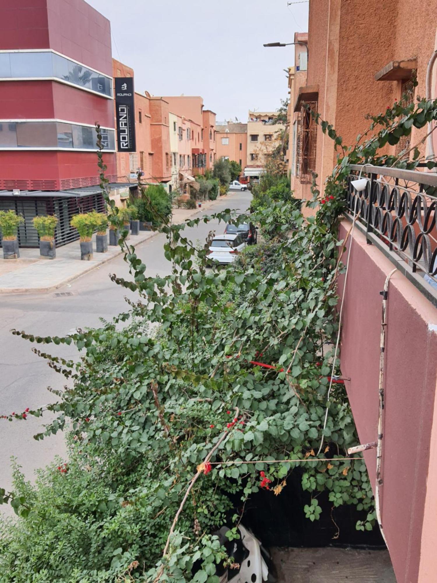Marrakech Plus Marrakesh Buitenkant foto