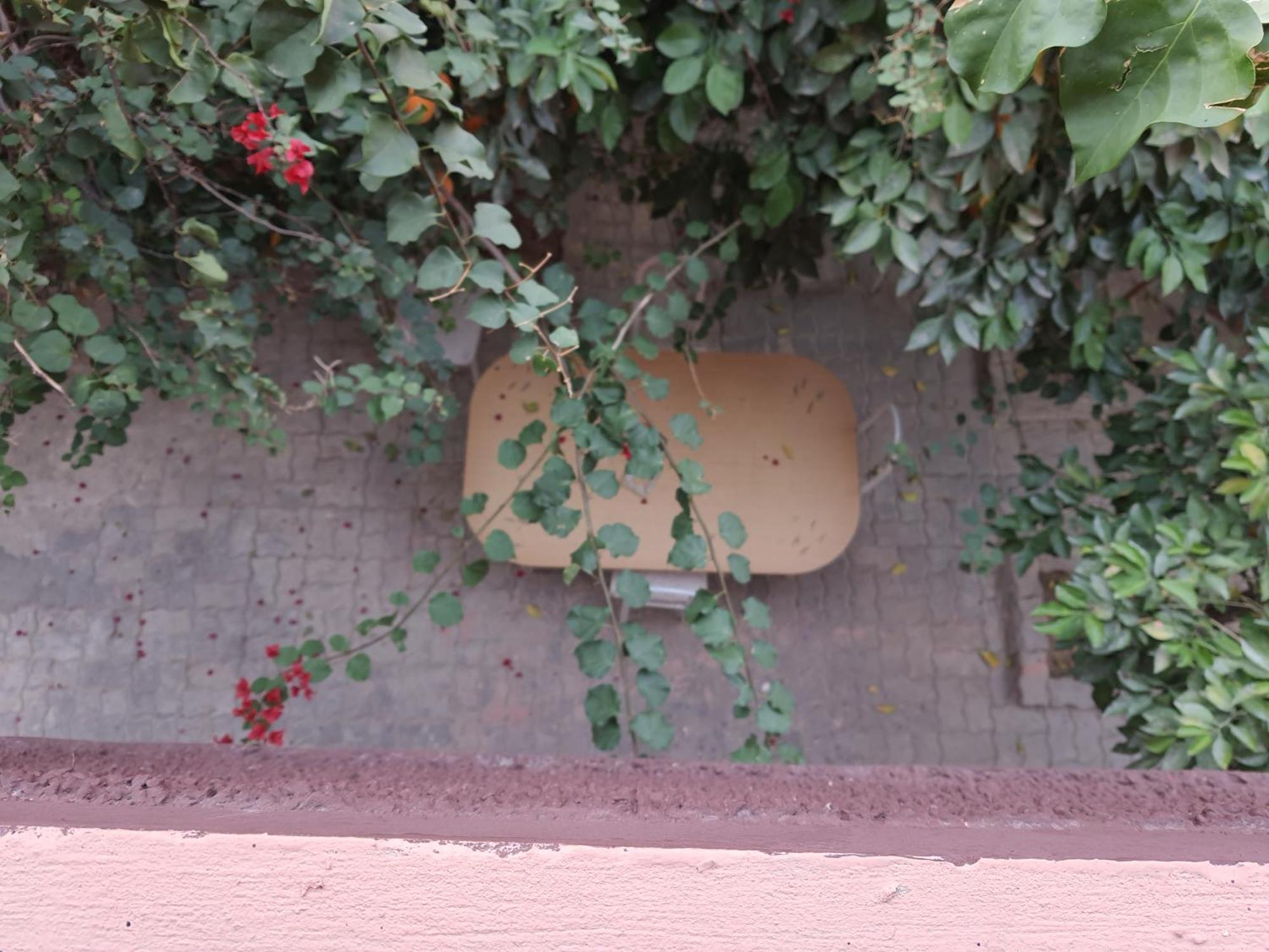 Marrakech Plus Marrakesh Buitenkant foto